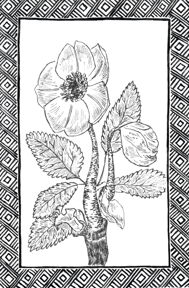Slide 6
